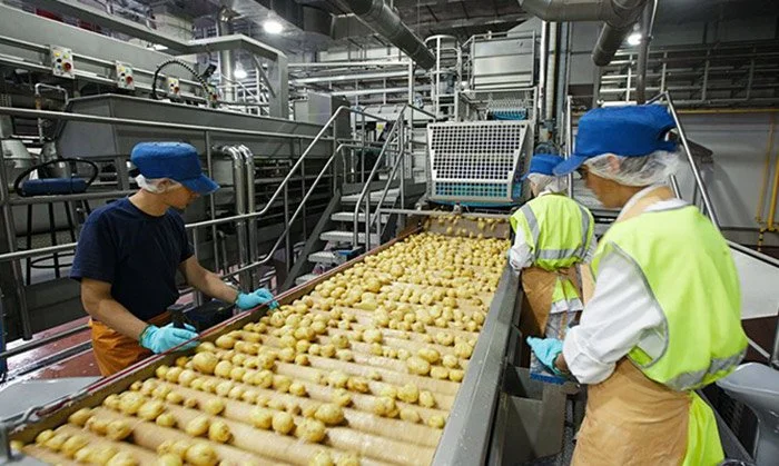 Indústria Alimentícia